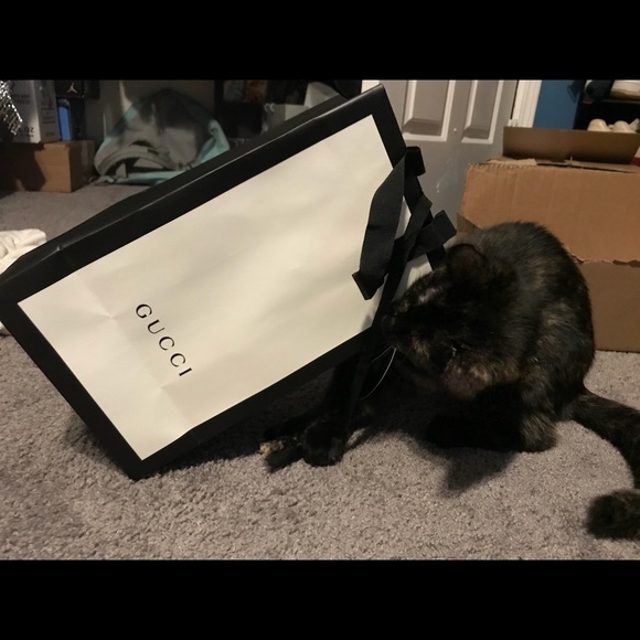 Meet your Posher, Davie - Picture 3 of 3